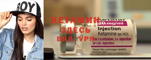 амф Дмитриев