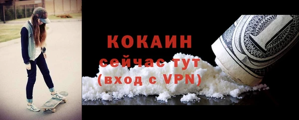 амф Дмитриев