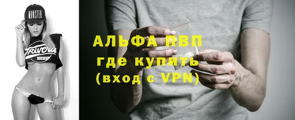 амф Дмитриев