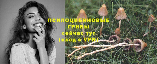 прущая мука Дмитровск