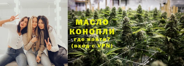 амф Дмитриев