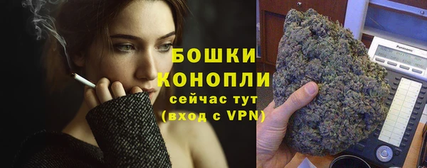 амф Дмитриев